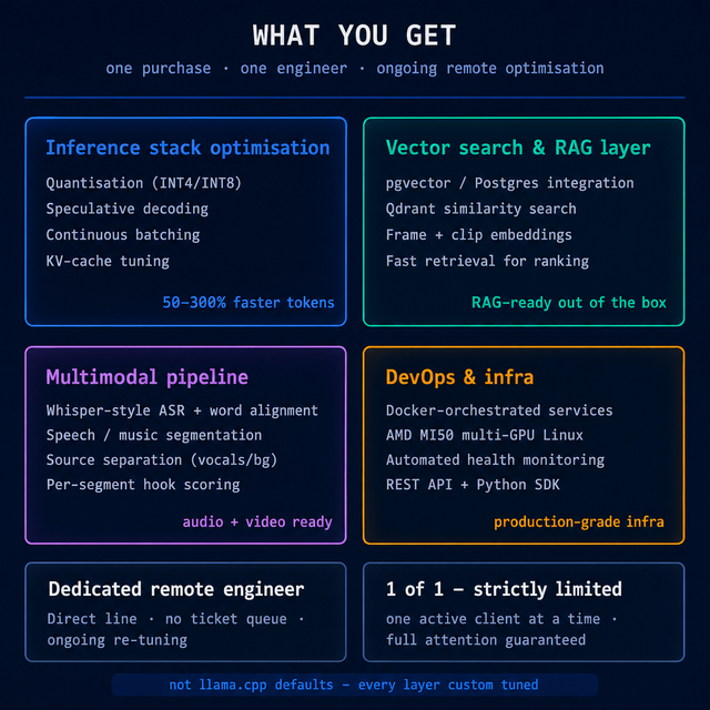 Optimised AI Inference Machine — 1-on-1 with AI/ML Engineer (MDataSci/MAI/MPhys)